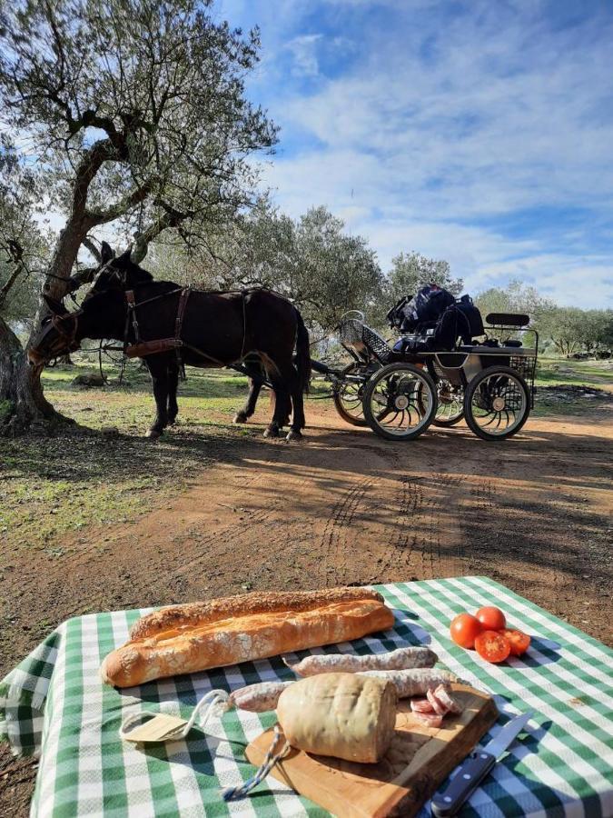 Can Barraca Avinyonet de Puigventos Luaran gambar